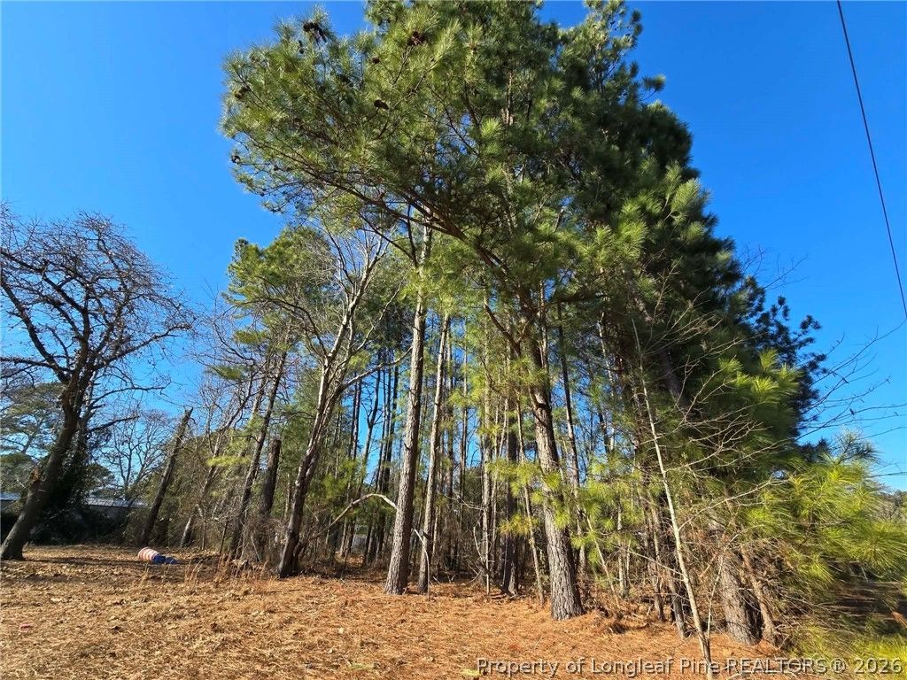 4026 Nursery Road, Spring Lake, NC 28390 — photo 10