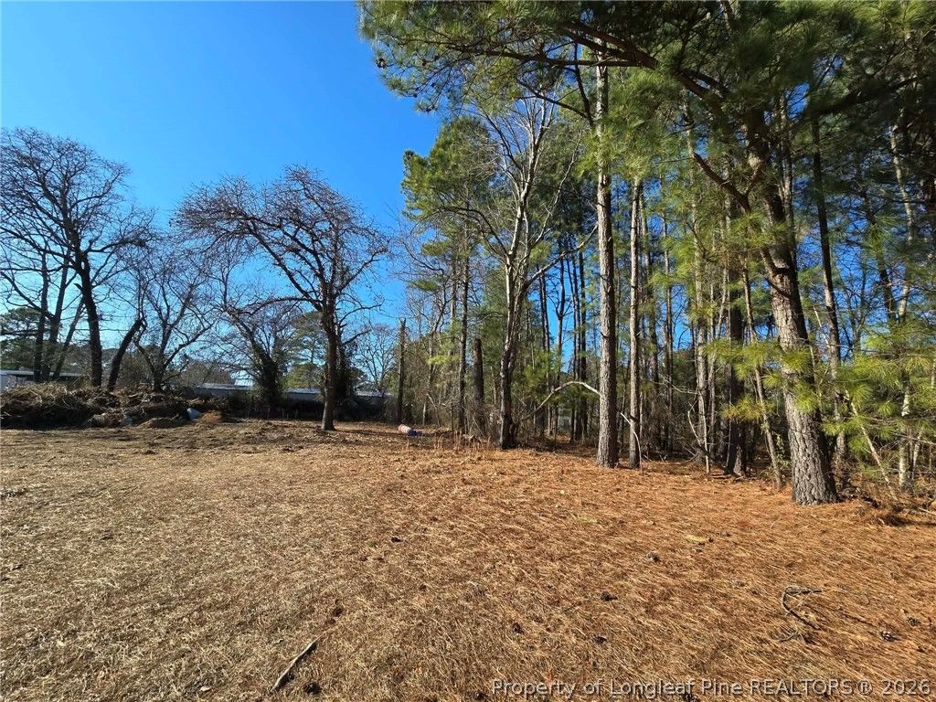 4026 Nursery Road, Spring Lake, NC 28390 — photo 13
