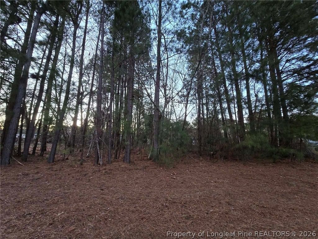 4026 Nursery Road, Spring Lake, NC 28390 — photo 14