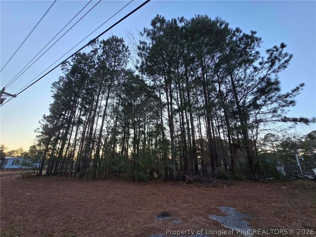 4026 Nursery Road, Spring Lake, NC 28390 — photo 15