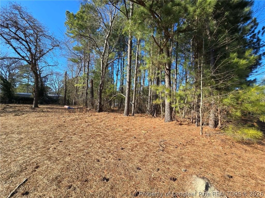 4026 Nursery Road, Spring Lake, NC 28390 — photo 17