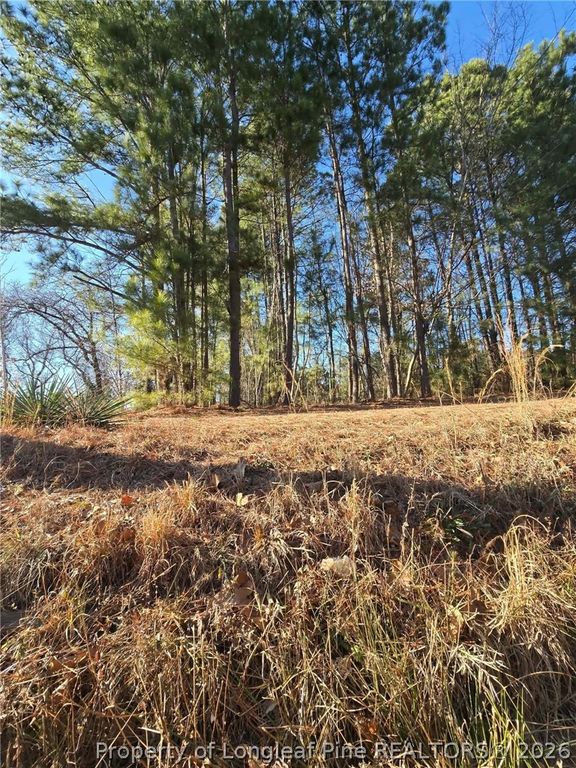 4026 Nursery Road, Spring Lake, NC 28390 — photo 5