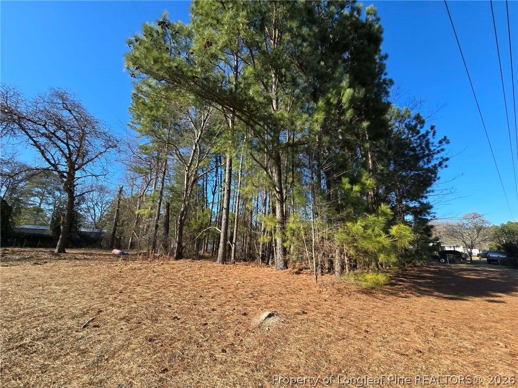4026 Nursery Road, Spring Lake, NC 28390 — photo 6