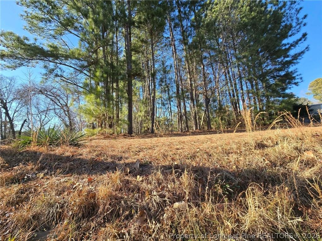 4026 Nursery Road, Spring Lake, NC 28390 — photo 8