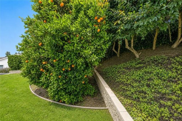 535 Papyrus, La Habra Heights, CA 90631