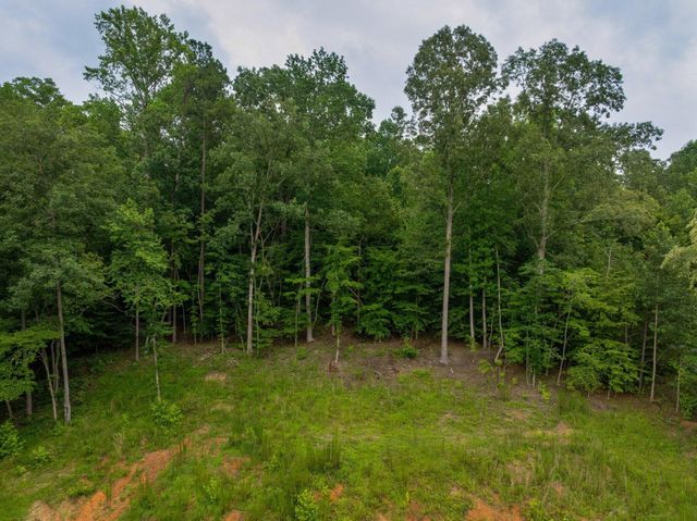 3646 Prospect Church Road, Apison, TN 37302