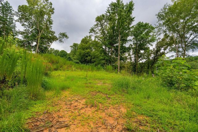 3646 Prospect Church Road, Apison, TN 37302