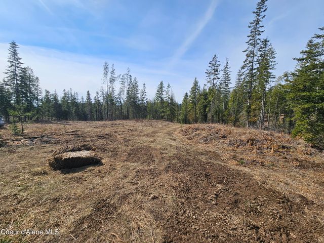 Lot 4 Pioneer Ln, Priest River, ID 83856