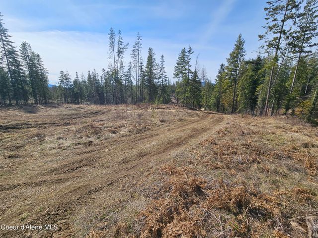 Lot 4 Pioneer Ln, Priest River, ID 83856