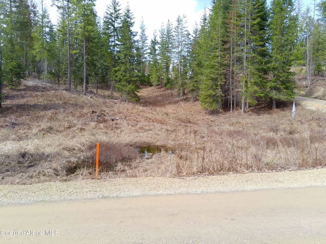 Lot 4 Pioneer Ln, Priest River, ID 83856
