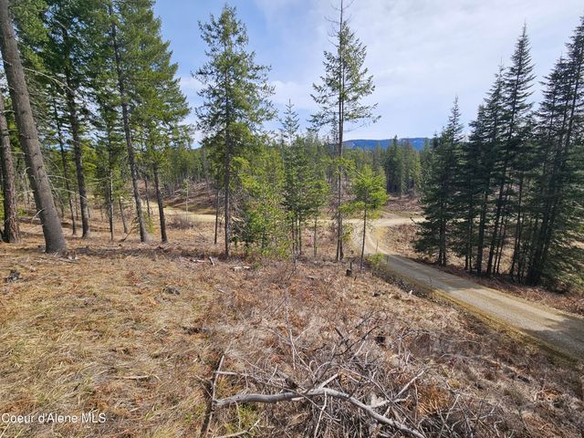 Lot 4 Pioneer Ln, Priest River, ID 83856