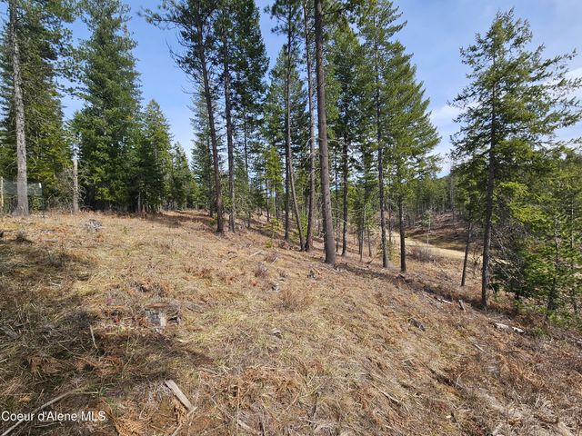 Lot 4 Pioneer Ln, Priest River, ID 83856