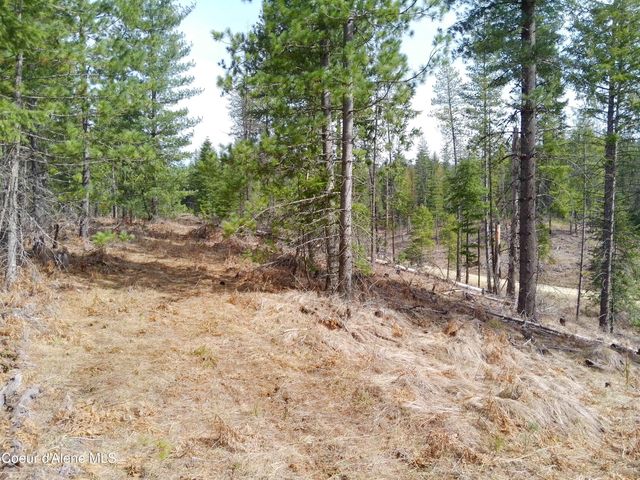 Lot 4 Pioneer Ln, Priest River, ID 83856
