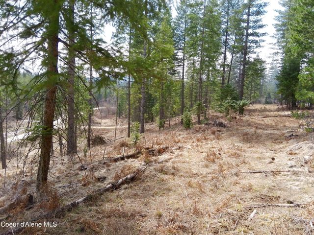 Lot 4 Pioneer Ln, Priest River, ID 83856