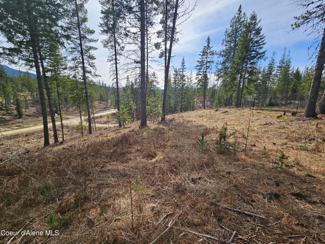 Lot 4 Pioneer Ln, Priest River, ID 83856