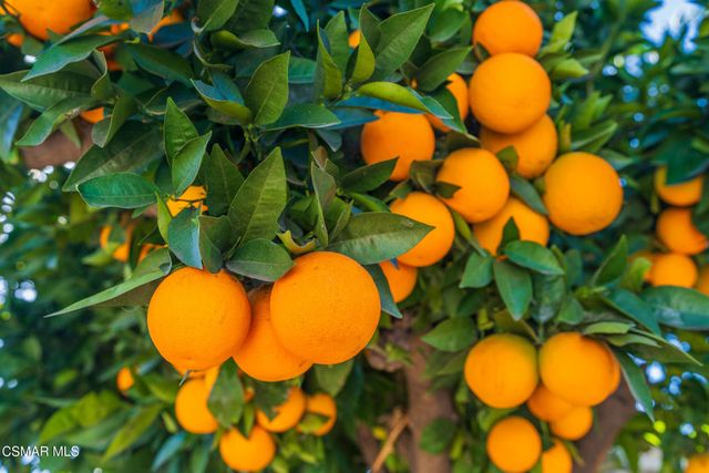 18049 Burbank Boulevard, Encino, CA 91316