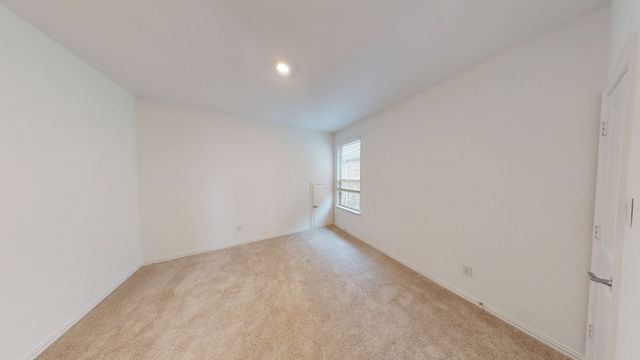 8005 Lindheimer Lane, Mckinney, TX 75071