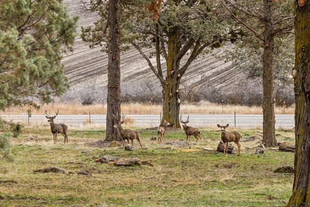 12156 Turnstone Drive, Klamath Falls, OR 97601