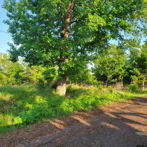 9400 CR 414, Tyler, TX 75704