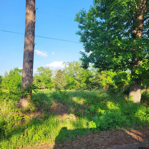 9400 CR 414, Tyler, TX 75704