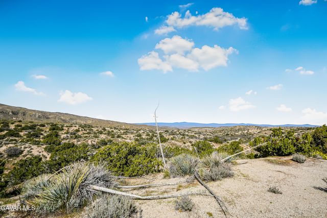 31720 E 96th Street, Littlerock, CA 93543