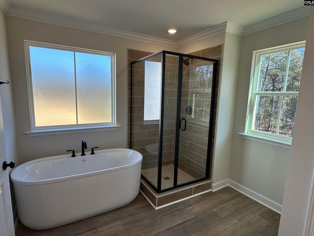 366 Rising Stream Way, Chapin, SC 29036