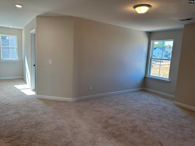 366 Rising Stream Way, Chapin, SC 29036