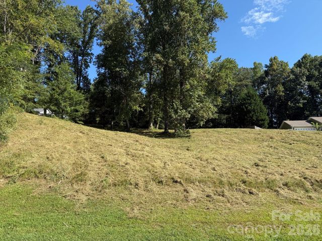 28 Shallow Branch Road, Leicester, NC 28748