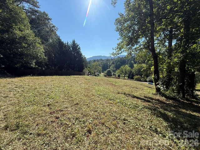 28 Shallow Branch Road, Leicester, NC 28748