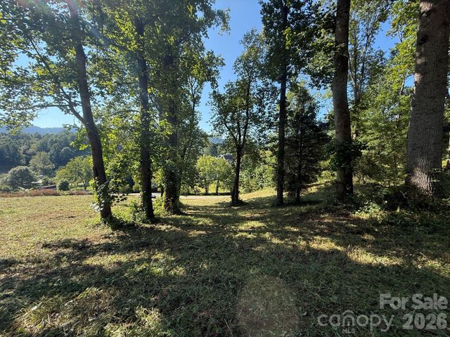 28 Shallow Branch Road, Leicester, NC 28748