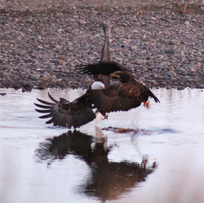 NHN Old Town Road, Three Forks, MT 59752 photo 32