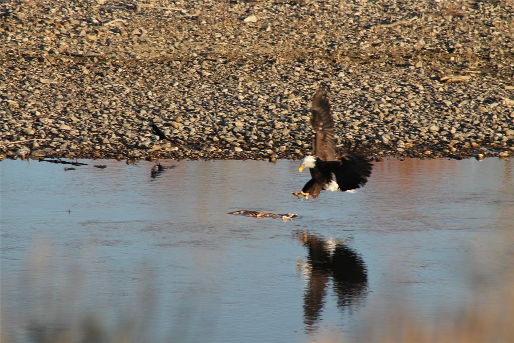 NHN Old Town Road, Three Forks, MT 59752 photo 39