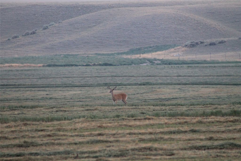 NHN Old Town Road, Three Forks, MT 59752 photo 41