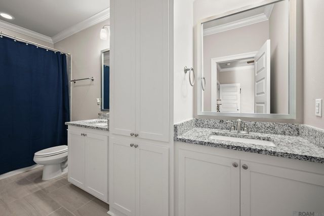 36397 Belle Savanne Ave, Geismar, LA 70734