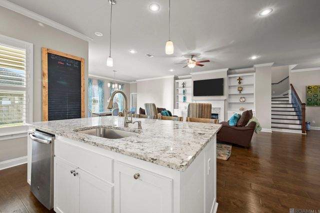 36397 Belle Savanne Ave, Geismar, LA 70734