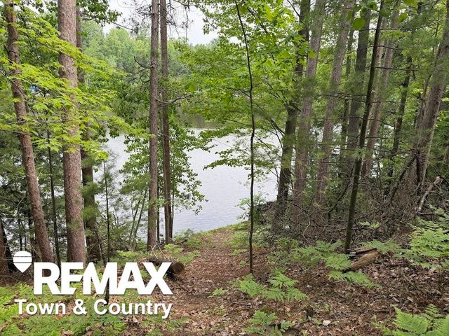 6450 Otter Trail, Alger, MI 48610