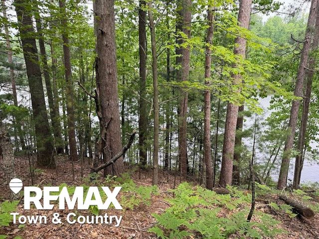6450 Otter Trail, Alger, MI 48610