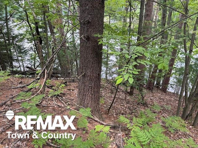 6450 Otter Trail, Alger, MI 48610