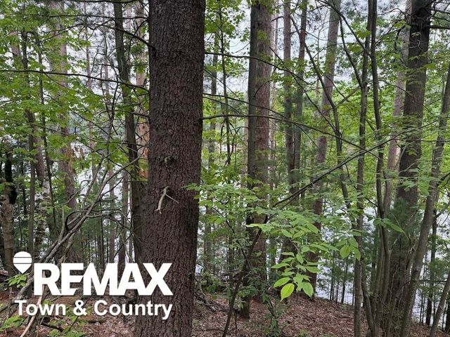 6450 Otter Trail, Alger, MI 48610