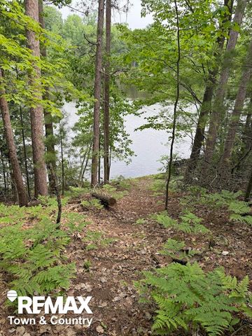 6450 Otter Trail, Alger, MI 48610