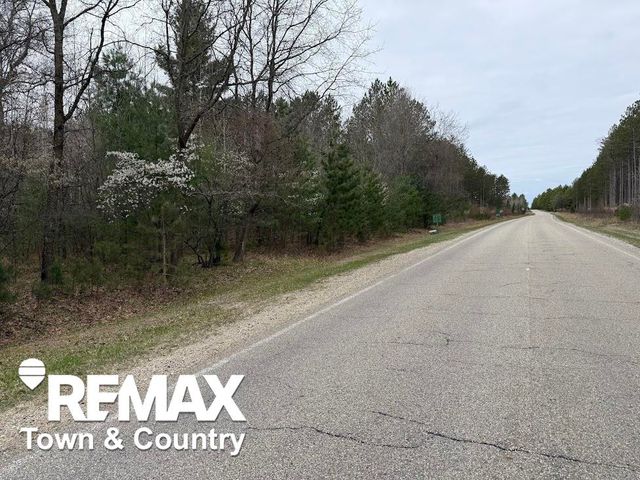 6450 Otter Trail, Alger, MI 48610
