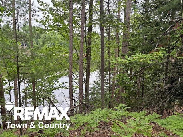6450 Otter Trail, Alger, MI 48610