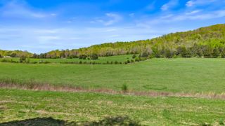 500 Dogtown Road, Ten Mile, TN 37880