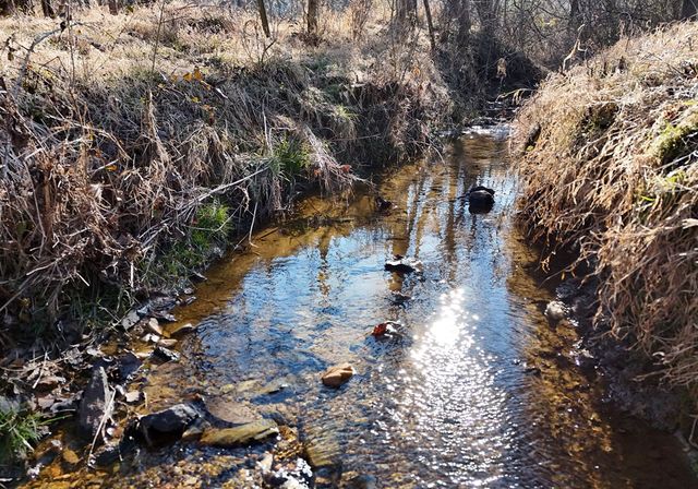 1951 Kiutuestia Creek Road, Blairsville, GA 30512