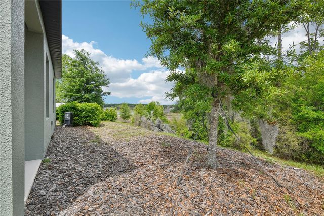 2352 LITCHFIELD LOOP, Deland, FL 32720