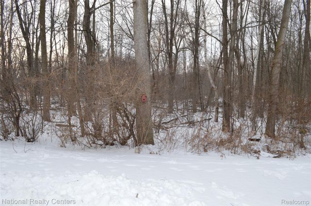 9642 Nook Road 7, Clay Township, MI 48001