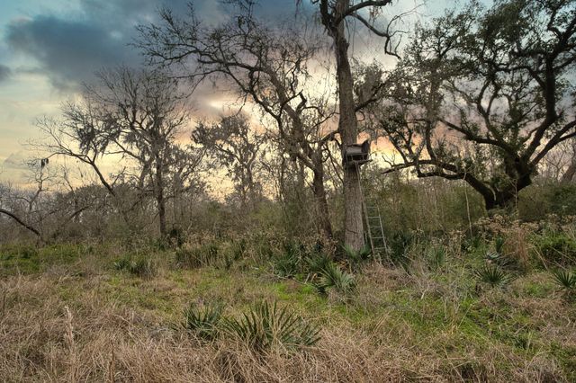 0 Fm-524, Sweeny, TX 77480