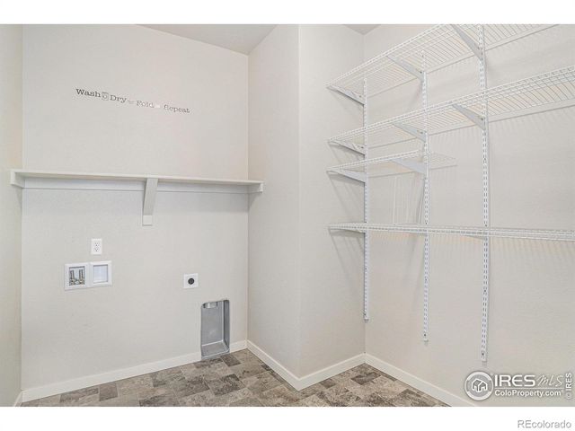 3787 Buckthorn Street, Wellington, CO 80549