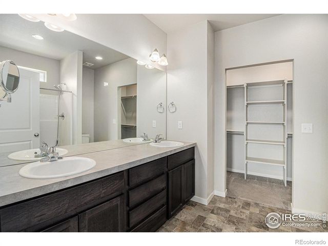 3787 Buckthorn Street, Wellington, CO 80549