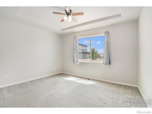 3787 Buckthorn Street, Wellington, CO 80549